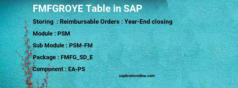 SAP FMFGROYE table