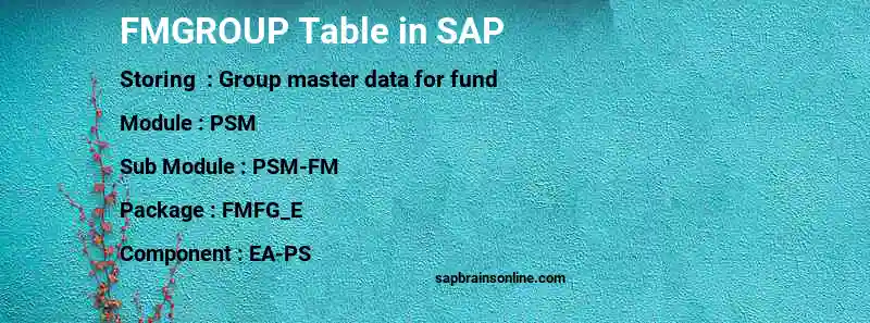 SAP FMGROUP table