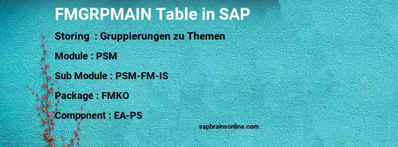 SAP FMGRPMAIN table
