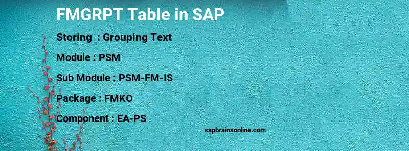 SAP FMGRPT table