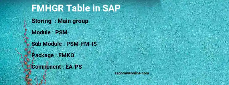 SAP FMHGR table