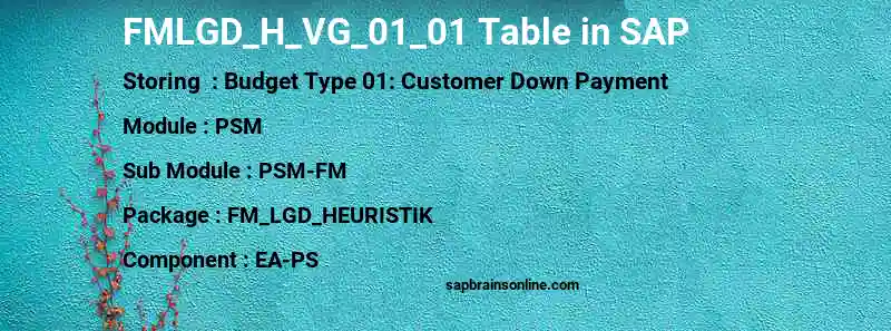 SAP FMLGD_H_VG_01_01 table