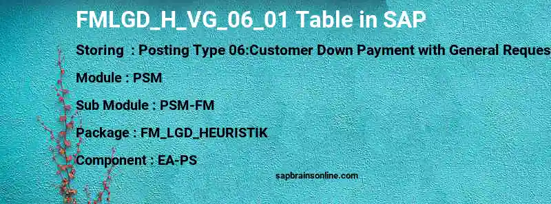 SAP FMLGD_H_VG_06_01 table