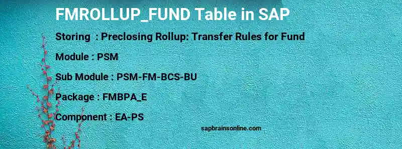 SAP FMROLLUP_FUND table