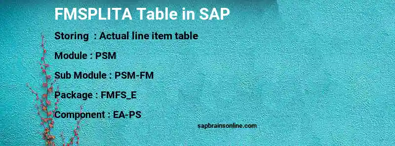 SAP FMSPLITA table