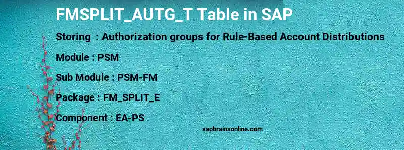 SAP FMSPLIT_AUTG_T table