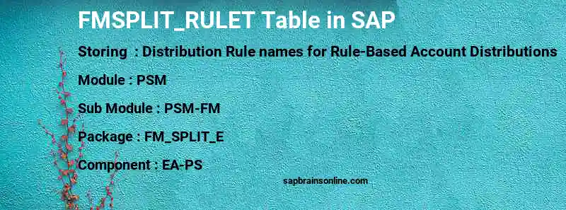 SAP FMSPLIT_RULET table