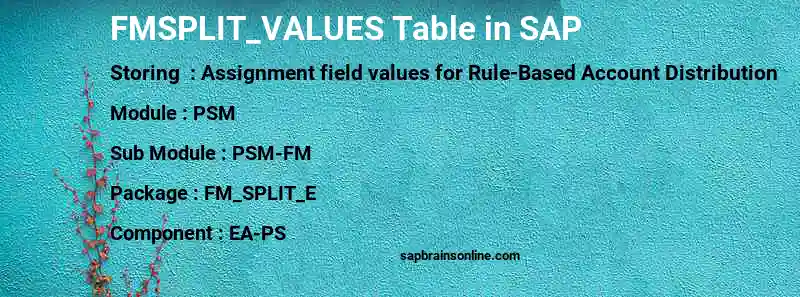 SAP FMSPLIT_VALUES table