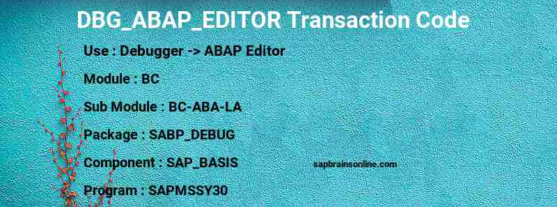 SAP DBG_ABAP_EDITOR transaction code
