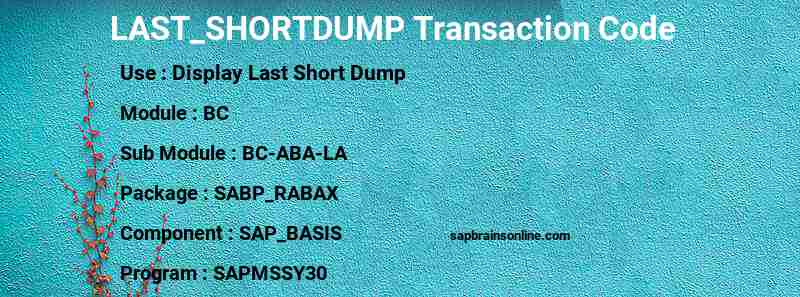 SAP LAST_SHORTDUMP transaction code
