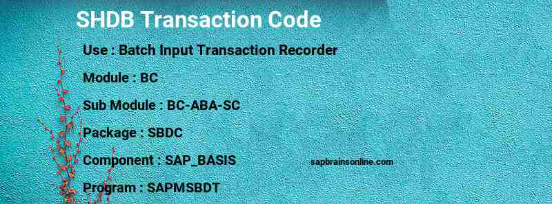 SAP SHDB transaction code