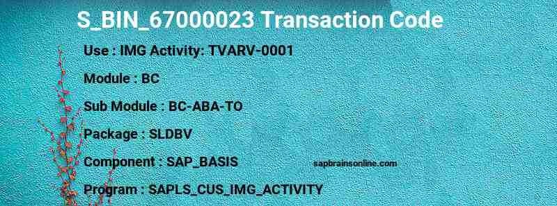 SAP S_BIN_67000023 transaction code