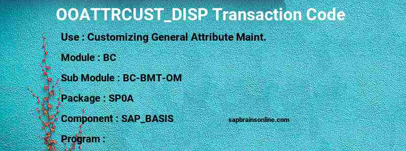 SAP OOATTRCUST_DISP transaction code