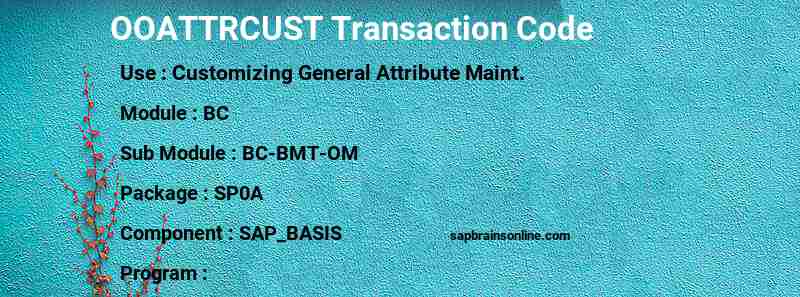 SAP OOATTRCUST transaction code