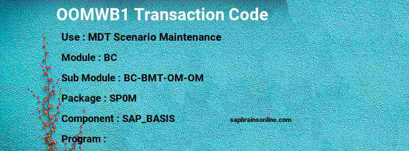 SAP OOMWB1 transaction code