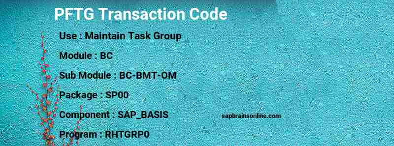SAP PFTG transaction code