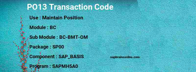 SAP PO13 transaction code