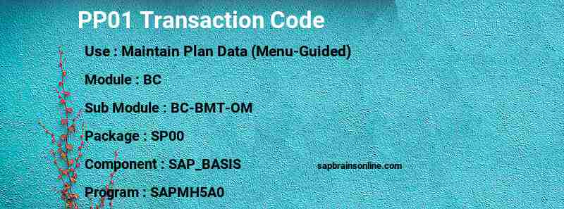 SAP PP01 transaction code