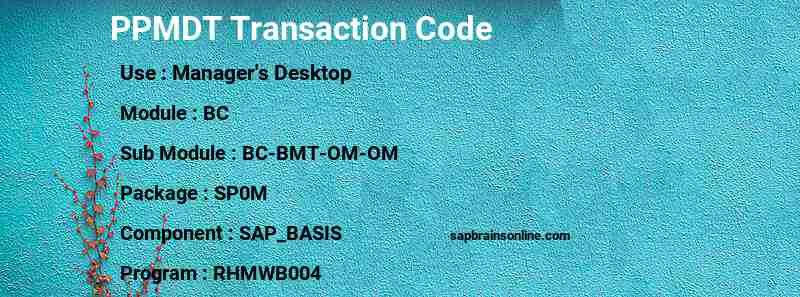 SAP PPMDT transaction code