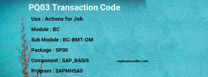 SAP PQ03 transaction code