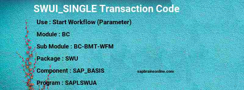 SAP SWUI_SINGLE transaction code