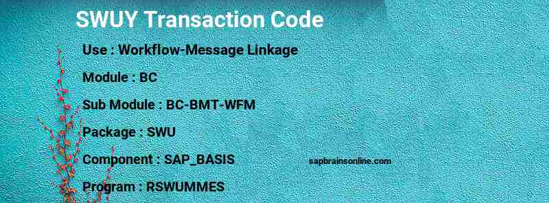 SAP SWUY transaction code