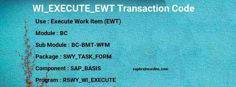 SAP WI_EXECUTE_EWT transaction code