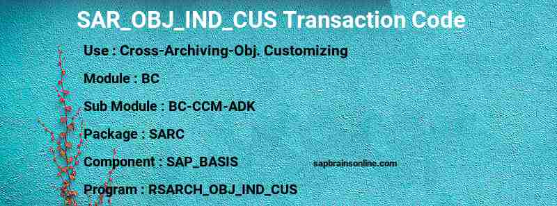 SAP SAR_OBJ_IND_CUS transaction code