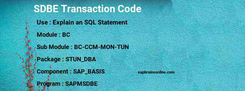 SAP SDBE transaction code