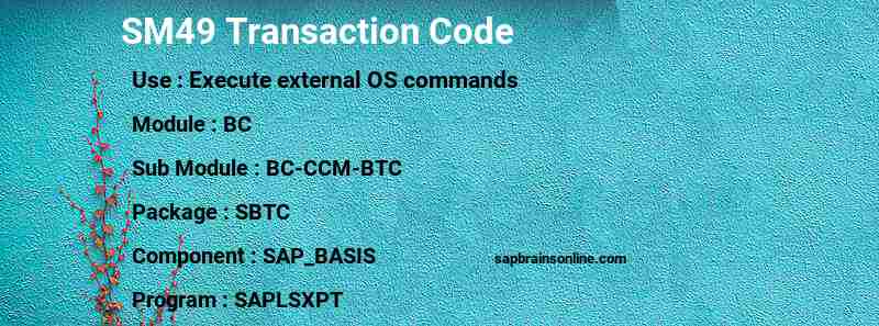 SAP SM49 transaction code