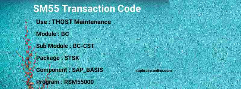 SAP SM55 transaction code