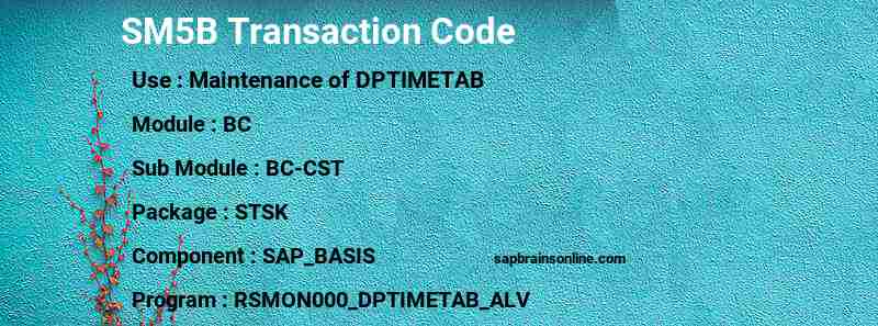 SAP SM5B transaction code