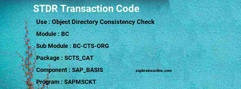 SAP STDR transaction code