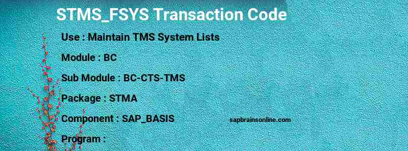 SAP STMS_FSYS transaction code