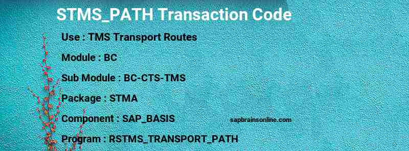 SAP STMS_PATH transaction code
