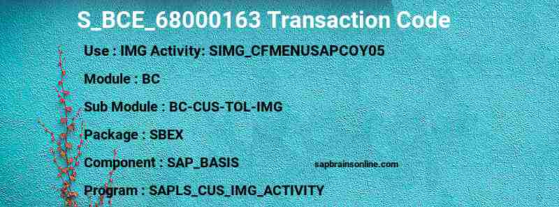 SAP S_BCE_68000163 transaction code