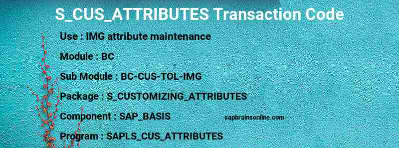 SAP S_CUS_ATTRIBUTES transaction code