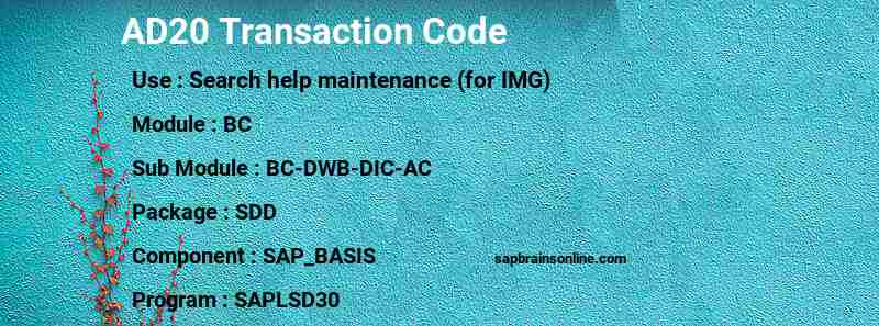 SAP AD20 transaction code