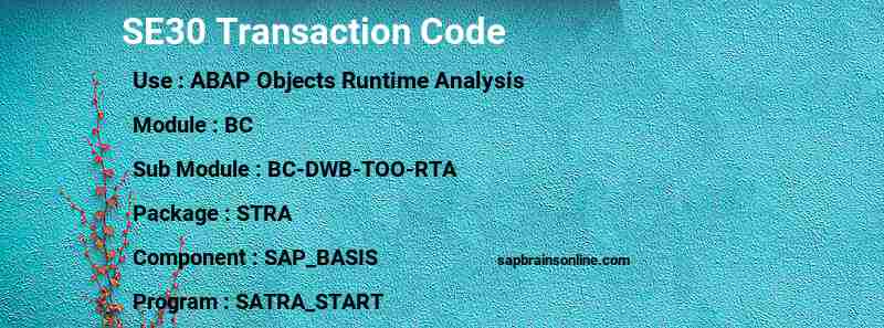 SAP SE30 transaction code