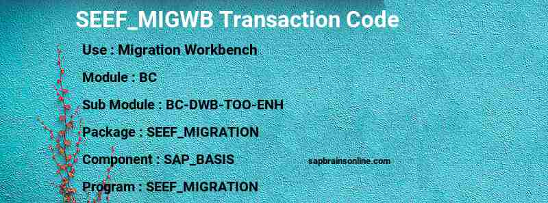 SAP SEEF_MIGWB transaction code