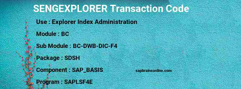 SAP SENGEXPLORER transaction code