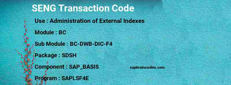 SAP SENG transaction code