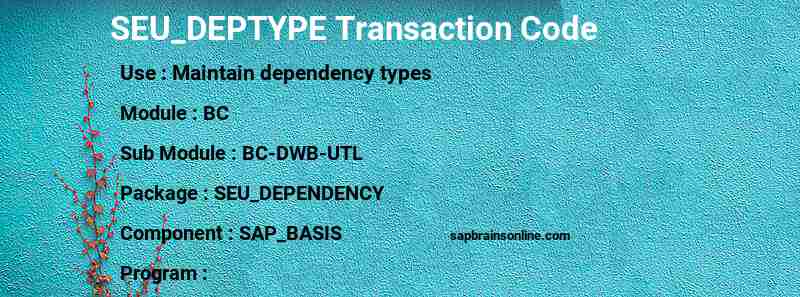 SAP SEU_DEPTYPE transaction code