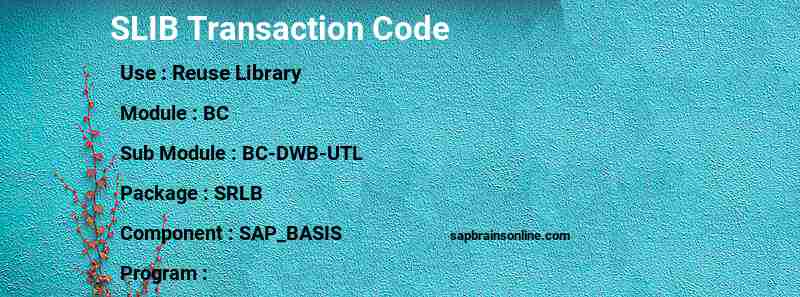 SAP SLIB transaction code