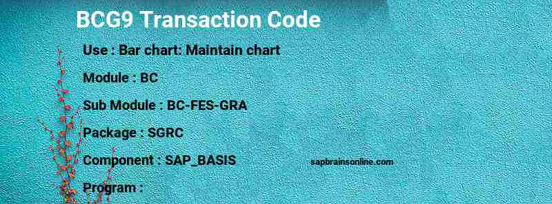 SAP BCG9 transaction code