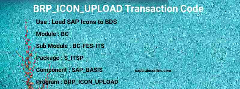 SAP BRP_ICON_UPLOAD transaction code