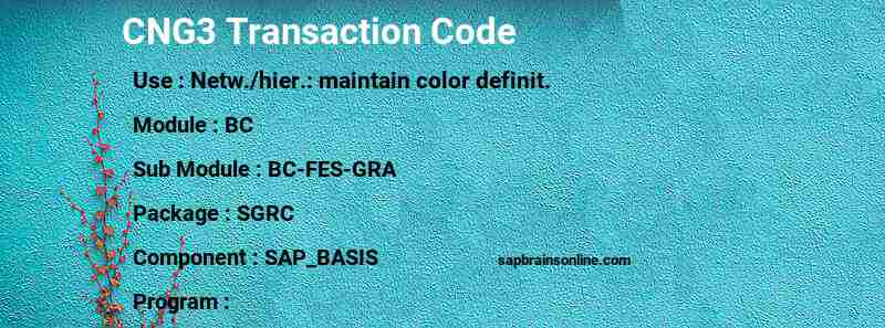 SAP CNG3 transaction code
