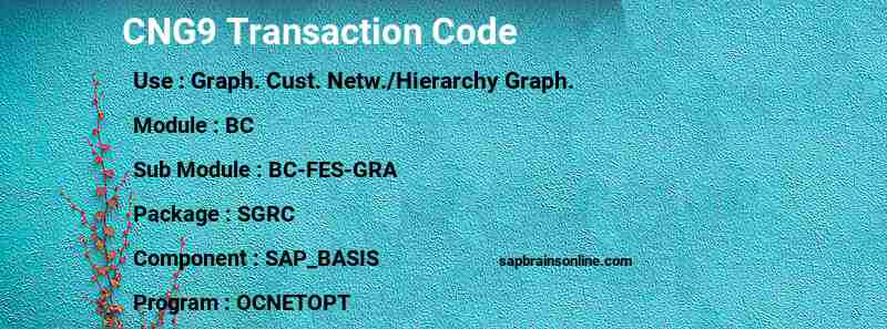 SAP CNG9 transaction code