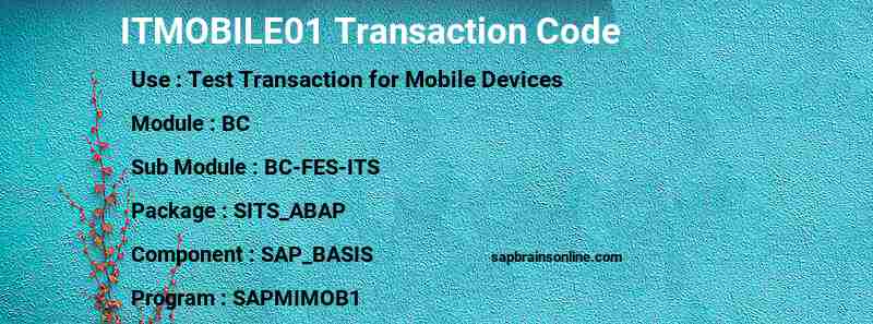 SAP ITMOBILE01 transaction code