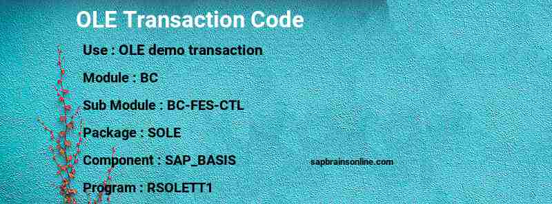 SAP OLE transaction code